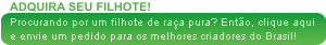 Adquira seu Filhote