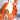 boby2.jpg (21324 bytes)
