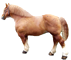 Cavalo Bret&atilde;o