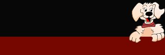 Cavalos