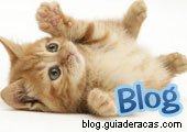 Brincadeiras de Filhote Brincadeiras de Filhote