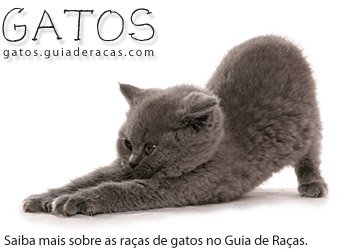 Ra&ccedil;as de Gatos