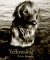 Yellowdog - Golden Retriever