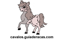 Cavalos