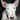 iggy.jpg (31478 bytes)