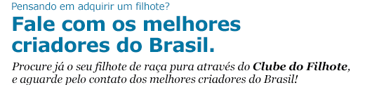 Procure j&aacute; o seu filhote de ra&ccedil;a atrav&eacute;s do Clube do Filhote!