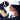 missy_sao_bernardo.jpg (25200 bytes)