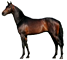 Cavalo Puro Sangue Ingl&ecirc;s