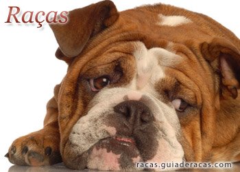 Raças de Cachorros Raças de Cães
