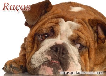 Raças de Cães