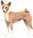 Basenji