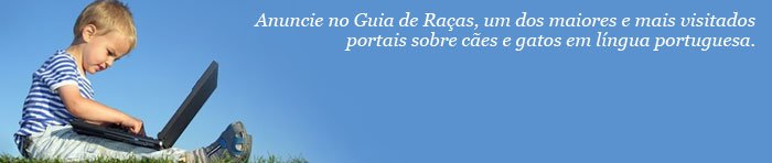 Midiakit Guia de Ra&ccedil;as