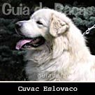 Cuvac Eslovaco