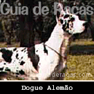 Dogue Alemão