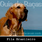 Fila Brasileiro