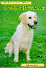 Guia do Golden Retriever