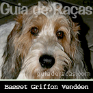 Petit Basset Griffon Vend&eacute;en